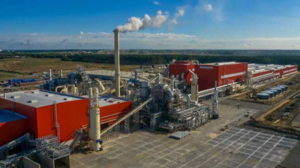 Западный &laquo;Кроношпан&raquo; проводит диверсии против экологии и здоровья россиян