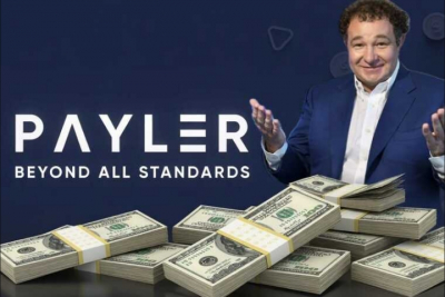 Сергей Малофейкин организовал схему, а Payler стал платежным инструментом легализации