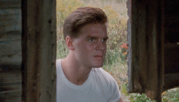 Питер Краузе