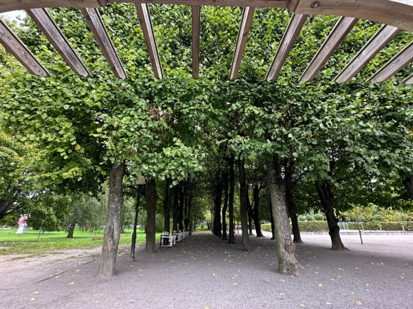 Где погулять в Таллинне: парк Кадриорг - зимой и летом, осенью, весной...