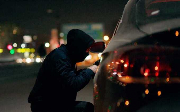 В Ростове-на-Дону угонщик автомобилей убил вилами известного врача